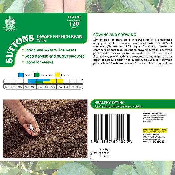 Dwarf French Bean 'Celine' - Seeds