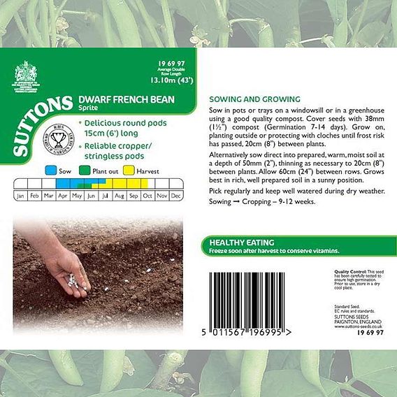 Dwarf French Bean 'Sprite' - Seeds