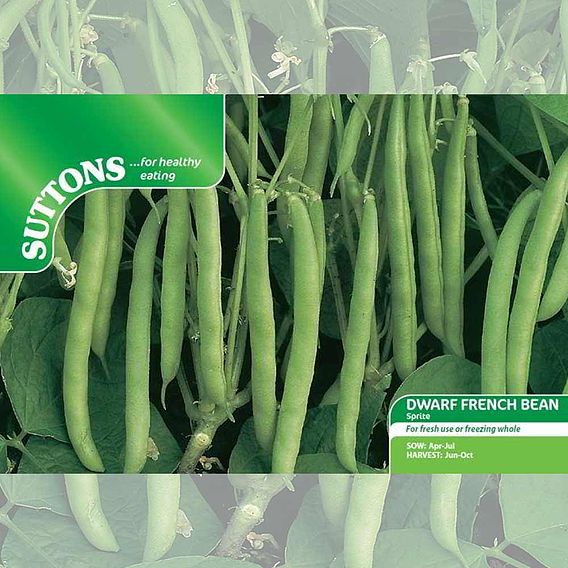 Dwarf French Bean 'Sprite' - Seeds