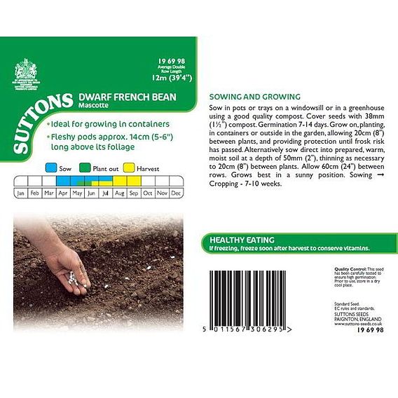Dwarf French Bean 'Mascotte' - Seeds