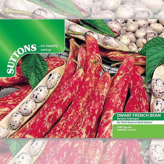 Dwarf French Bean 'Borlotto Firetongue' - Seeds
