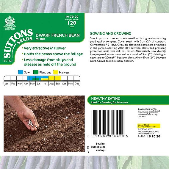 Dwarf French Bean 'Mistik' - Seeds