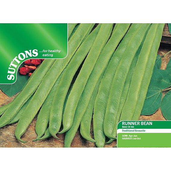 Runner Bean 'Best Of All' - Seeds