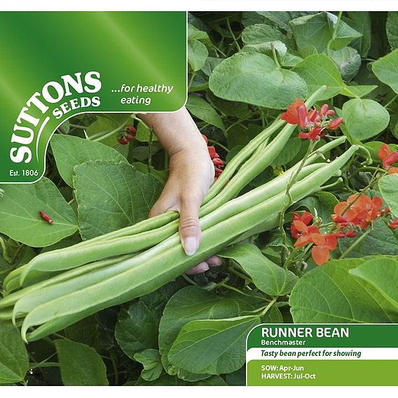 Runner Bean 'Benchmaster' - Seeds