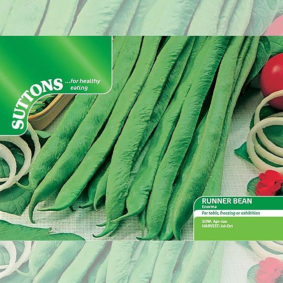 Runner Bean 'Enorma' - Seeds