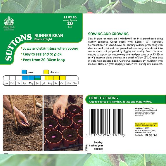 Runner Bean 'Black Knight' - Seeds