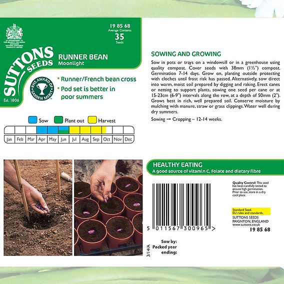 Runner Bean 'Moonlight' - Seeds