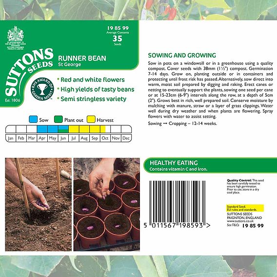 Runner Bean 'St George' - Seeds