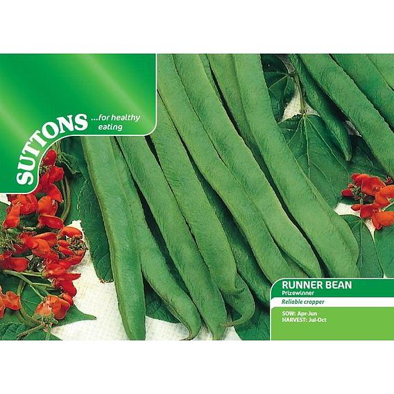 Runner Bean 'Prizewinner' - Seeds