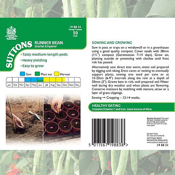 Bean (Runner) Seeds - Scarlet Emperor