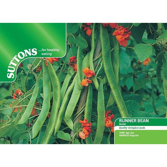 Bean (Runner) Seeds - Butler