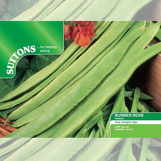 Runner Bean 'Polestar' - Seeds