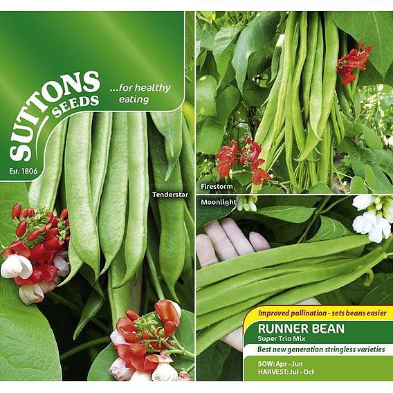 Runner Bean 'Super Trio Mix' - Seeds