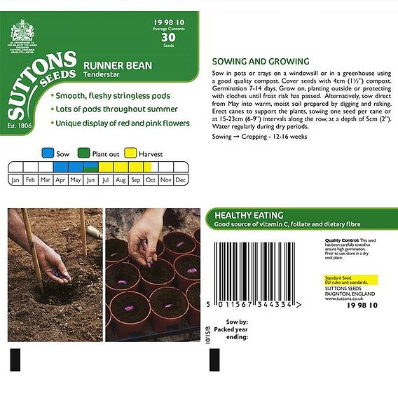 Runner Bean 'Tenderstar' - Seeds