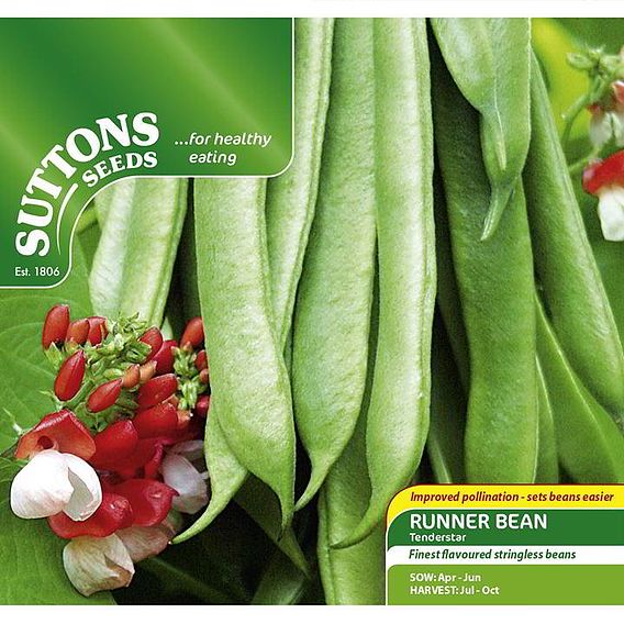 Bean (Runner) Seeds - Tenderstar