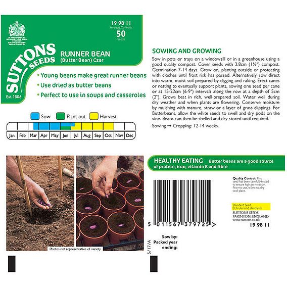 Runner Bean 'Czar' - Seeds