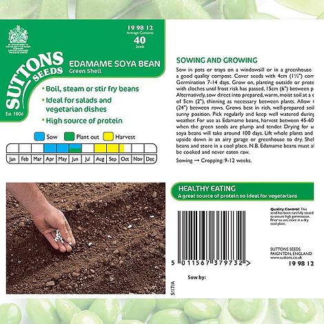 Soya Bean 'Edamame' - Seeds