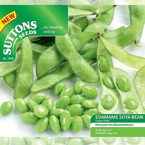 Soya Bean 'Edamame' - Seeds