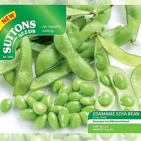 Bean Soya Seeds - Edamame