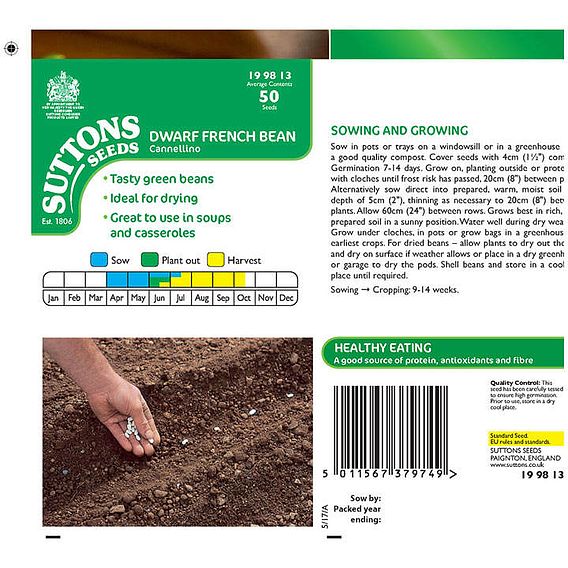 Dwarf French Bean 'Cannellino' - Seeds