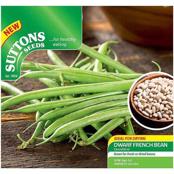 Dwarf French Bean 'Cannellino' - Seeds
