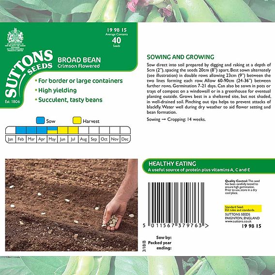 Broad Bean 'Crimson Flowered' - Seeds