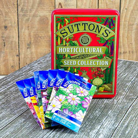 Suttons 1806 Red Tin plus Flower Lover's Seed Collection