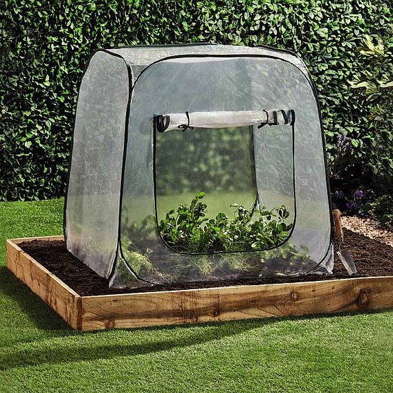 Pop Up Garden Cloche