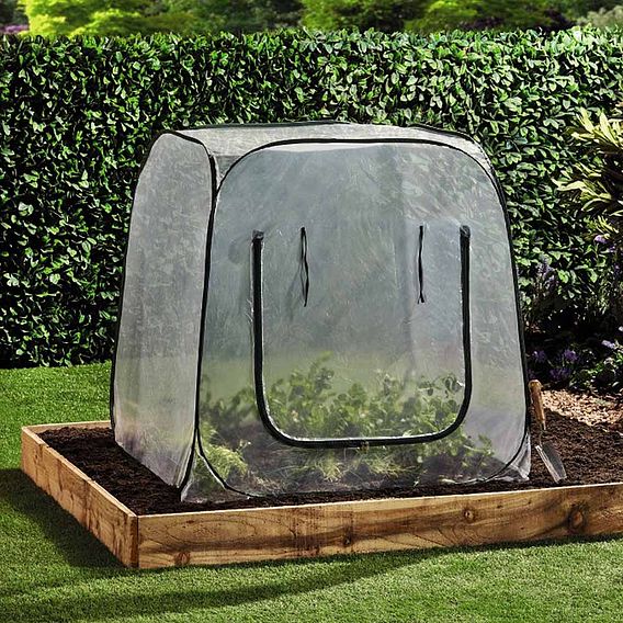 Pop Up Garden Cloche