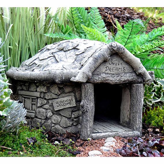 Hedgehog House