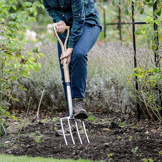 Stainless Steel Digging Fork | Suttons