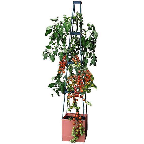 Garden Grow Self Watering Tomato Tower