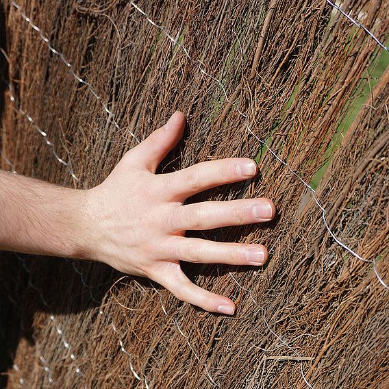 Brushwood Thatch Screen Roll