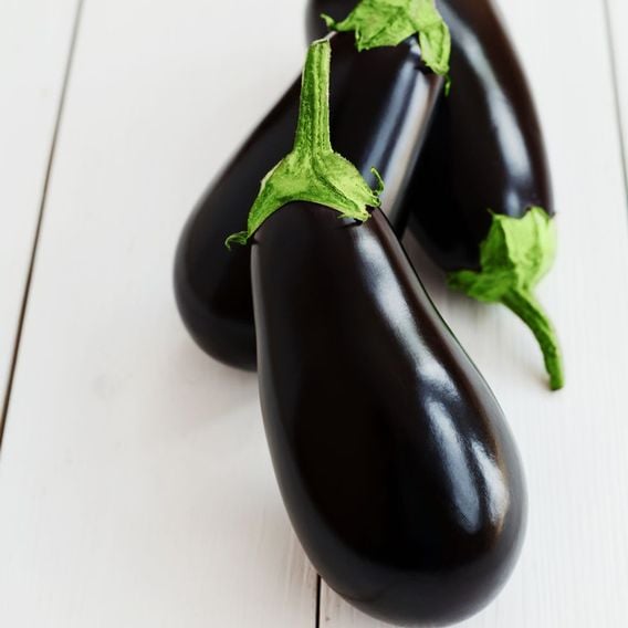 Aubergine 'Black Beauty' - Seeds