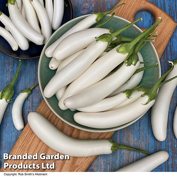 Aubergine White Knight F1 - Seeds
