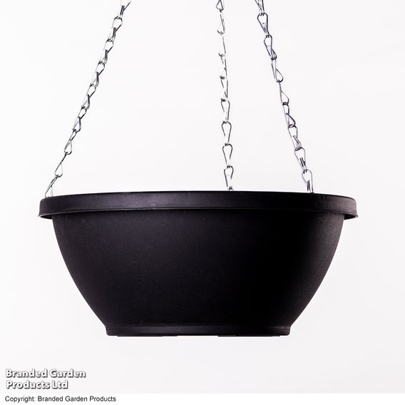 25cm Plastic Hanging Basket