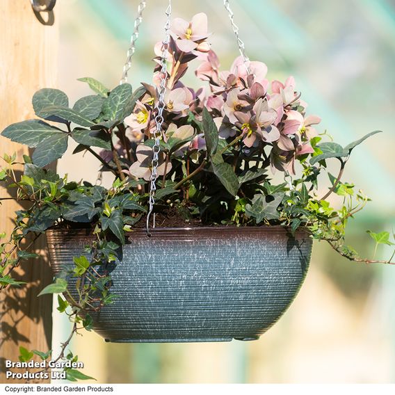 Blue Breeze Glazed Effect Hanging Basket