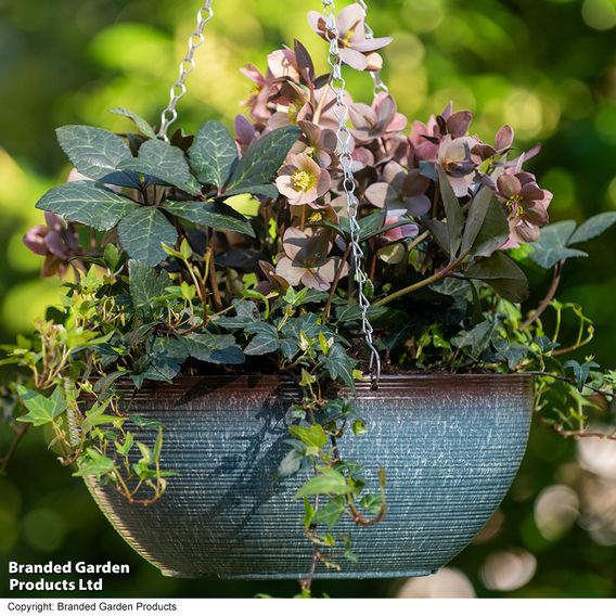 Blue Breeze Glazed Effect Hanging Basket