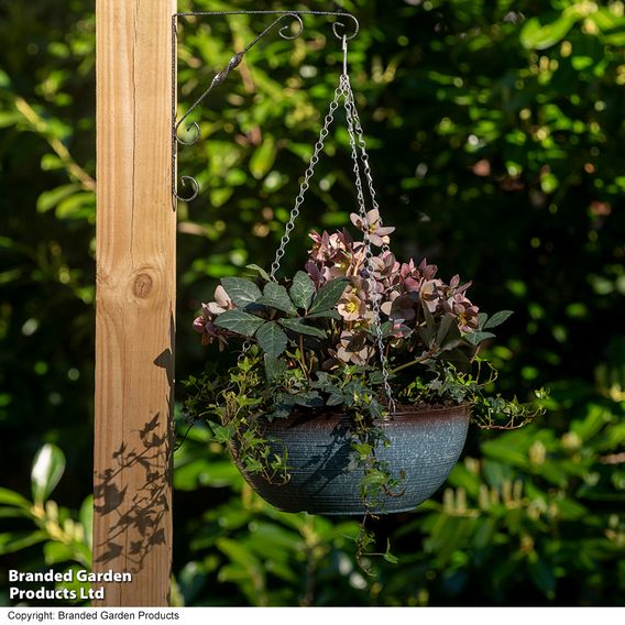 Blue Breeze Glazed Effect Hanging Basket