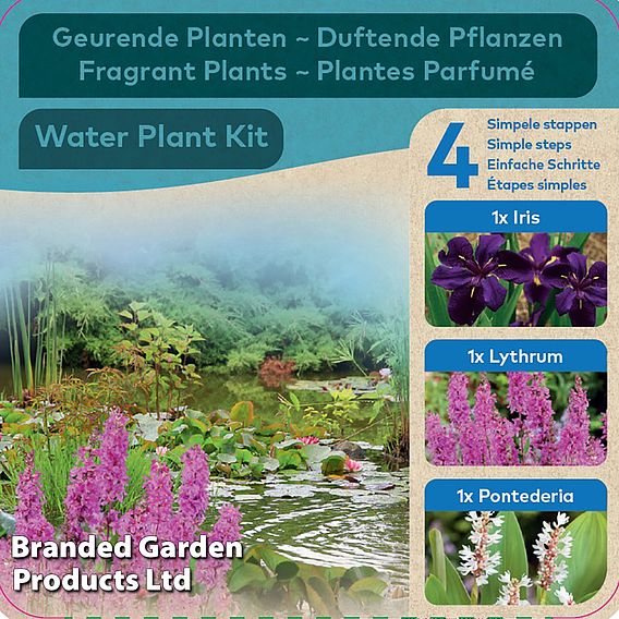 Fragrant Pond Kit