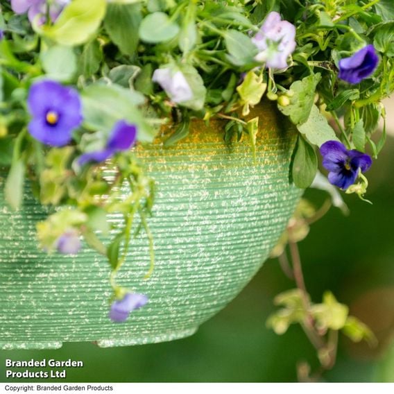 Garden Gear - Sage Green Glazed Effect Hanging Basket