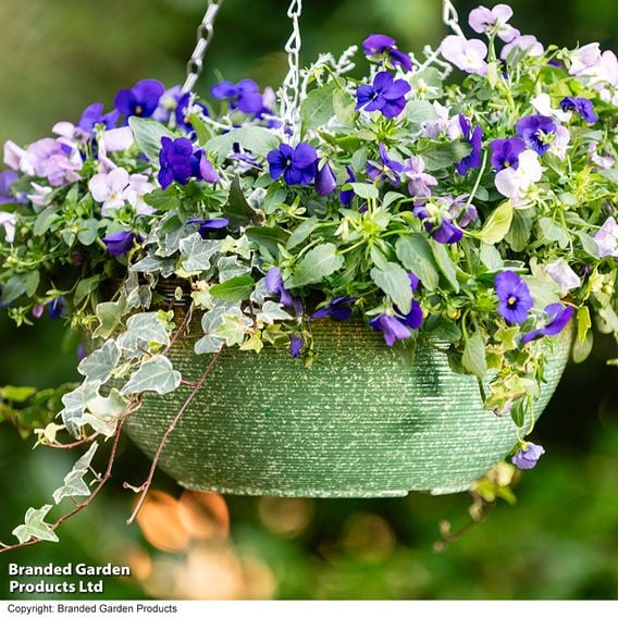 Garden Gear - Sage Green Glazed Effect Hanging Basket