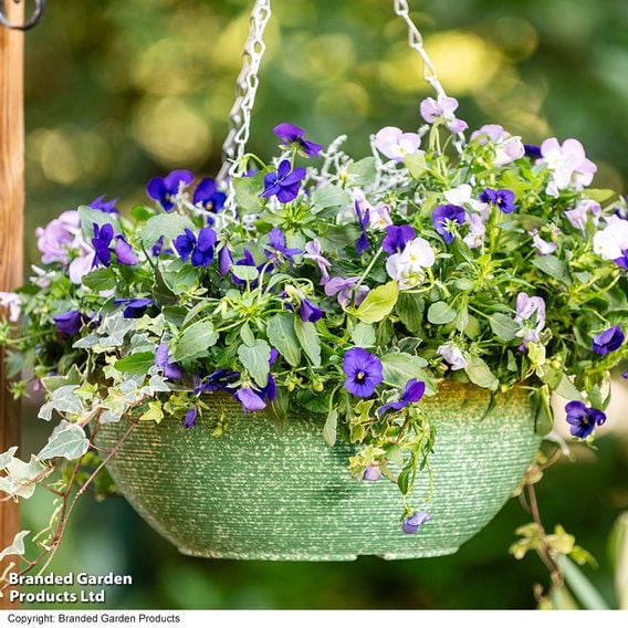 Garden Gear - Sage Green Glazed Effect Hanging Basket