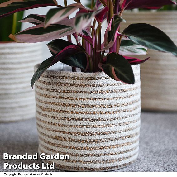 Grey Sand Seagrass + Jute Planter Basket