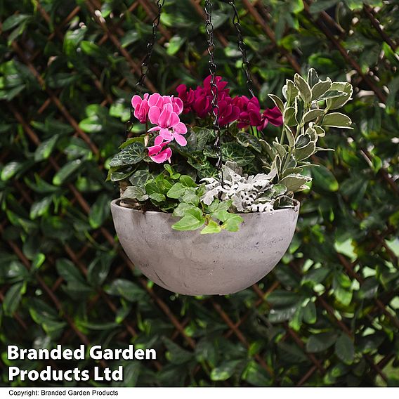 Medium Stone Effect Hanging Basket