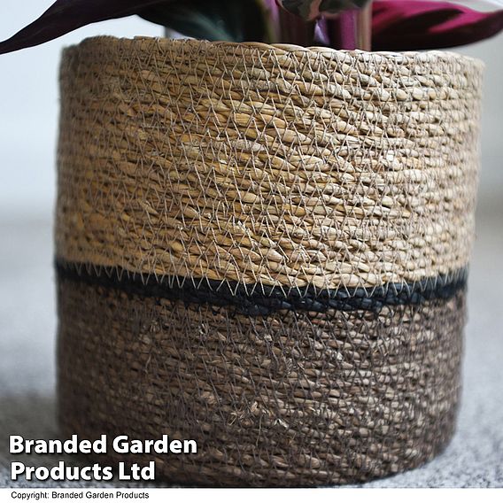 Natural Navy Seagrass Planter Basket