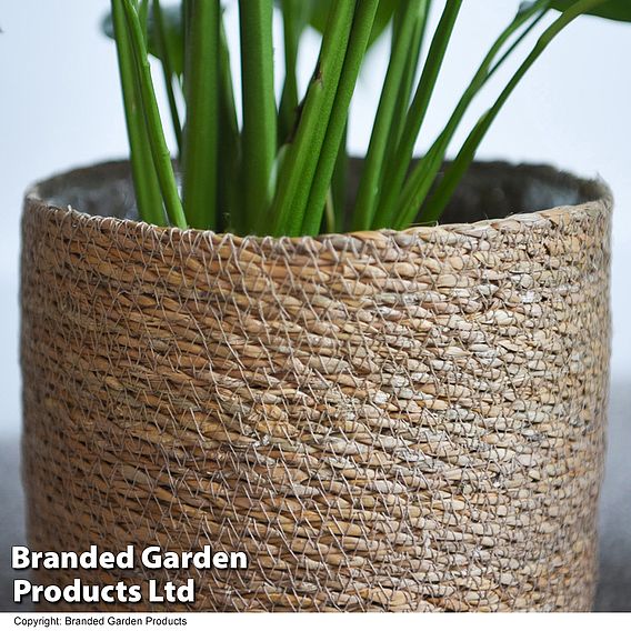 Natural Seagrass Planter Basket