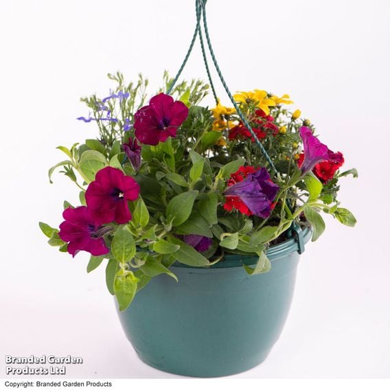 Pre-Planted Hanging Basket Mix