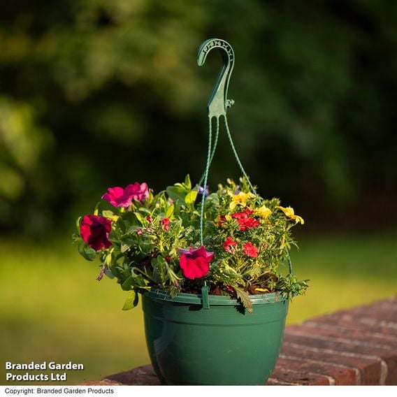 Pre-Planted Hanging Basket Mix