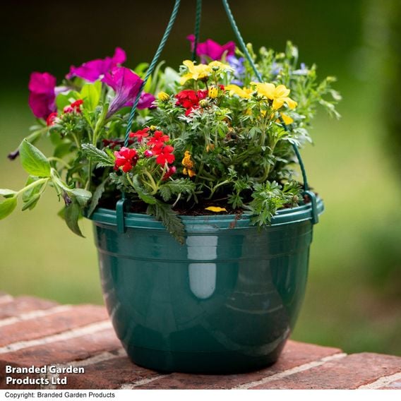Pre-Planted Hanging Basket Mix